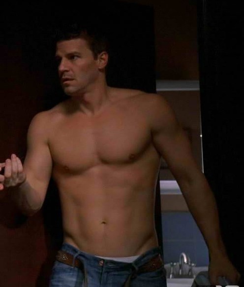 Seeley Booth Shirtless